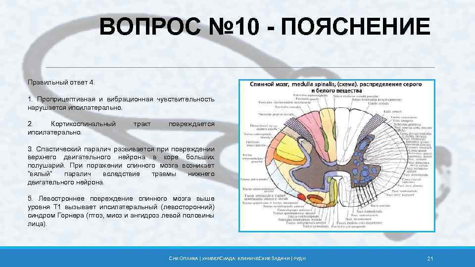 ВОПРОС № 10 - ПОЯСНЕНИЕ Правильный ответ 4. 1. Проприцептивная и вибрационная чувствительность нарушается