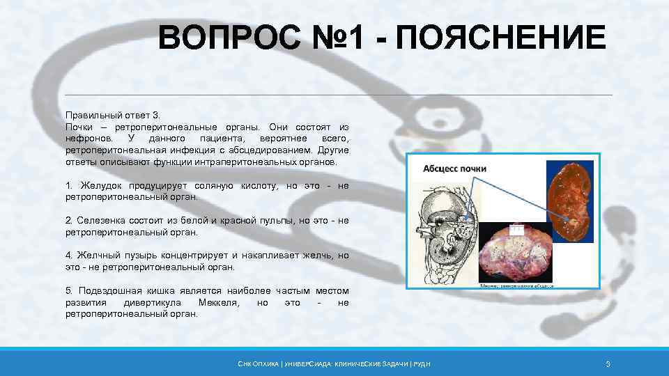 ВОПРОС № 1 - ПОЯСНЕНИЕ Правильный ответ 3. Почки – ретроперитонеальные органы. Они состоят