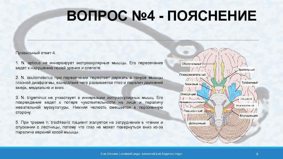 ВОПРОС № 4 - ПОЯСНЕНИЕ Правильный ответ 4. 1. N. opticus не иннервирует экстраокулярные