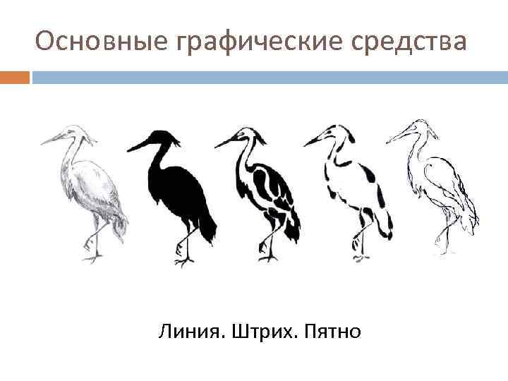 Отметь графические средства а линия б штрих в пятно г рисунок