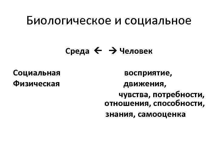 Биологическое и социальное Среда Человек Социальная Физическая восприятие, движения, чувства, потребности, отношения, способности, знания,