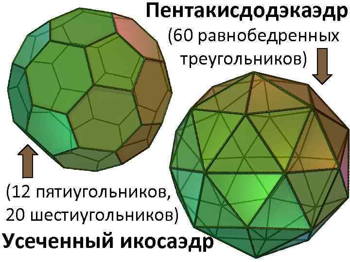 Правильные и полуправильные многогранники проект