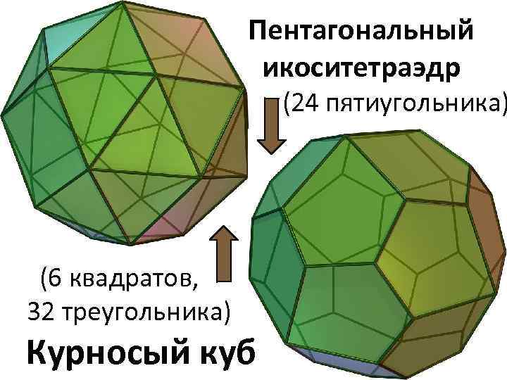 Полуправильные многогранники проект