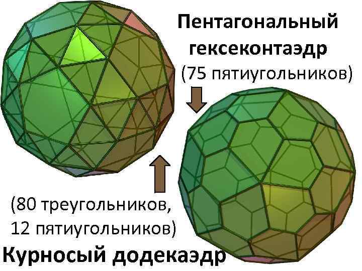 Полуправильные многогранники проект