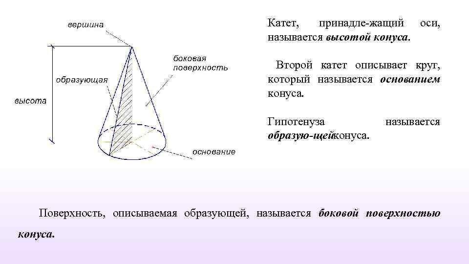 Катет, принадле жащий оси, называется высотой конуса. Второй катет описывает круг, который называется основанием