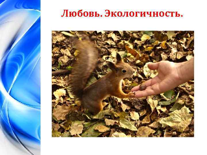 Любовь. Экологичность. 