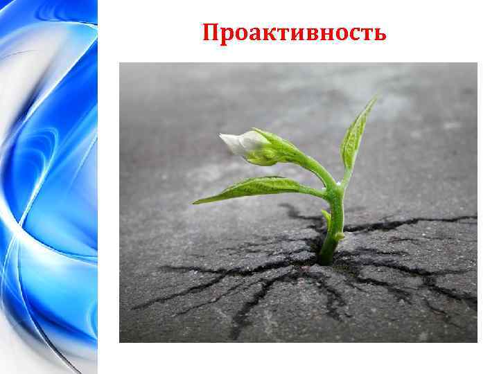 Проактивность 