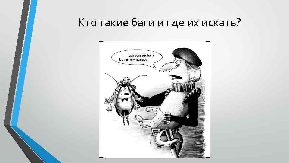 Кто такие баги и где их искать? 