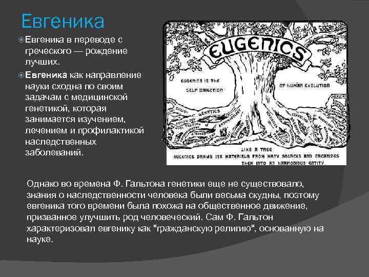 Евгеника в переводе с греческого — рождение лучших. Евгеника как направление науки сходна по