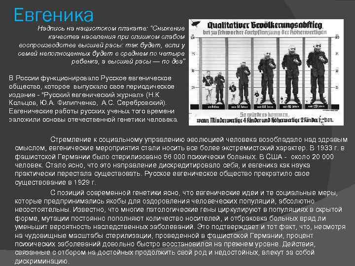 Евгеника Надпись на нацистском плакате: “Снижение качества населения при слишком слабом воспроизводстве высшей расы: