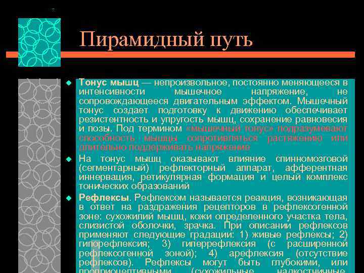 Пирамидный путь u u u Тонус мышц — непроизвольное, постоянно меняющееся в интенсивности мышечное