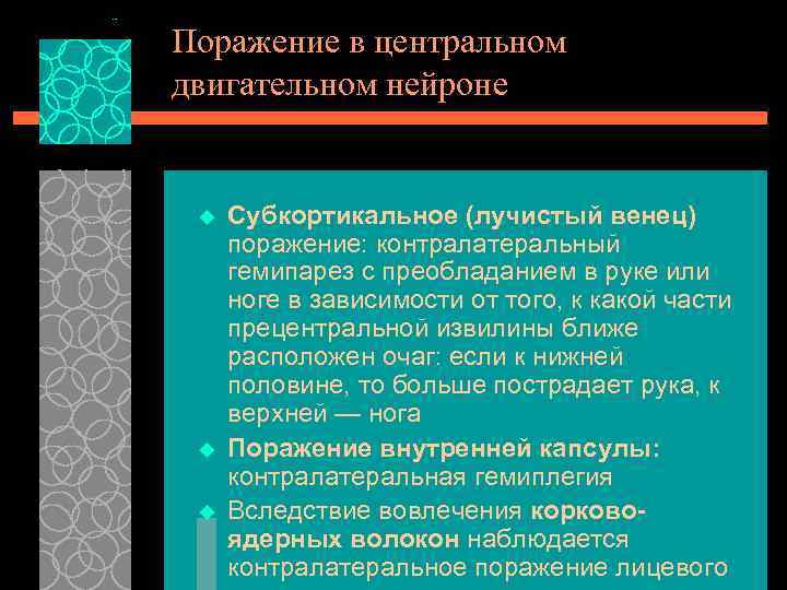 Поражение в центральном двигательном нейроне u u u Субкортикальное (лучистый венец) поражение: контралатеральный гемипарез