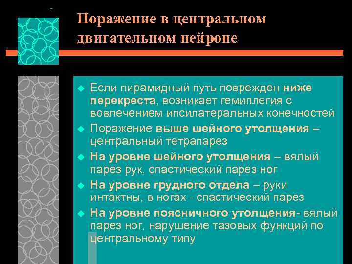 Поражение в центральном двигательном нейроне u u u Если пирамидный путь поврежден ниже перекреста,