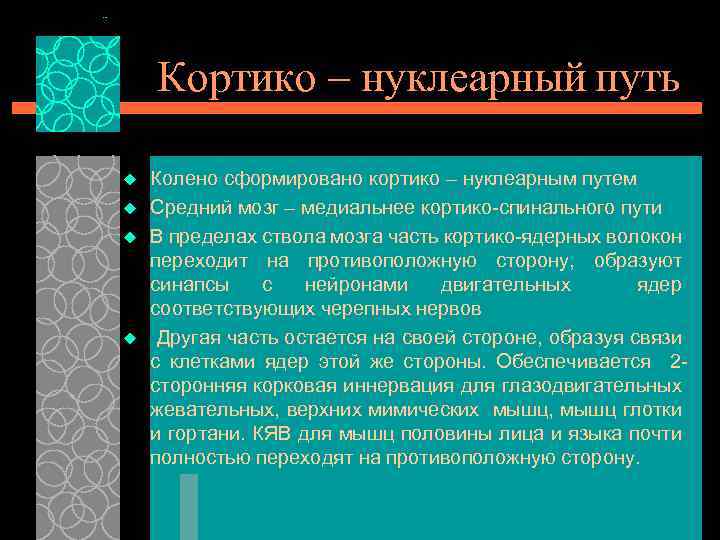 Кортико – нуклеарный путь u u Колено сформировано кортико – нуклеарным путем Средний мозг