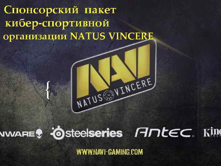 Спонсорский пакет кибер-спортивной организации NATUS VINCERE { 