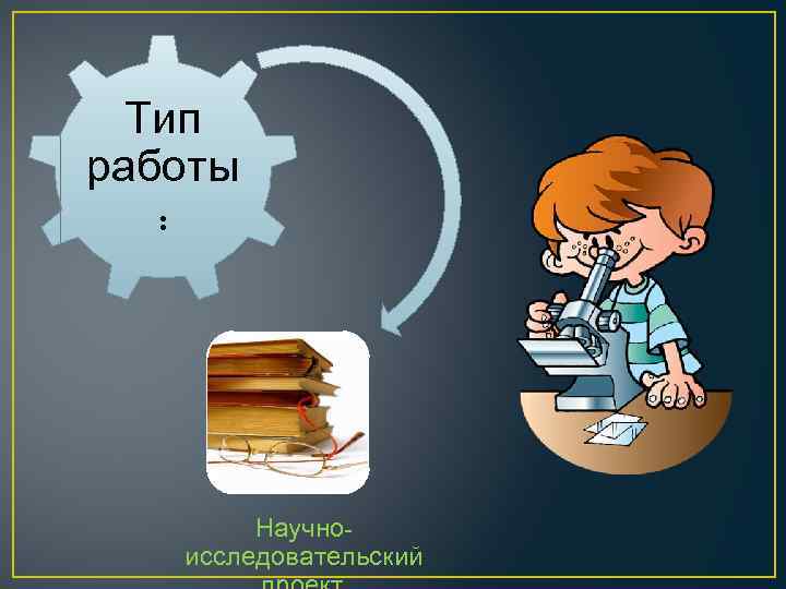 Тип работы : Научноисследовательский 