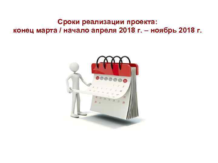 Сроки реализации проекта: конец марта / начало апреля 2018 г. – ноябрь 2018 г.