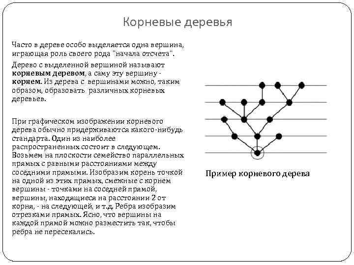 Вершины дерева графы. Корневое дерево графы. Корневая вершина графа. Корень дерева графы. Корень графа.