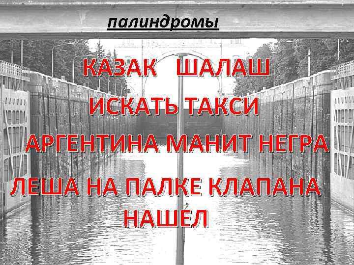 палиндромы КАЗАК ШАЛАШ ИСКАТЬ ТАКСИ АРГЕНТИНА МАНИТ НЕГРА ЛЕША НА ПАЛКЕ КЛАПАНА НАШЕЛ 