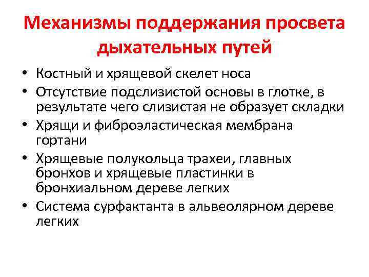 Механизмы поддержания просвета дыхательных путей • Костный и хрящевой скелет носа • Отсутствие подслизистой