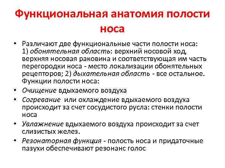 Функциональная анатомия полости носа • Различают две функциональные части полости носа: 1) обонятельная область: