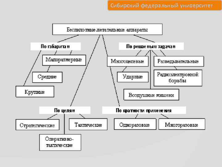 Сибирский федеральный университет 