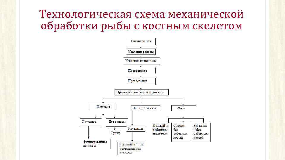 Технологическая схема механической обработки рыбы с костным скелетом 