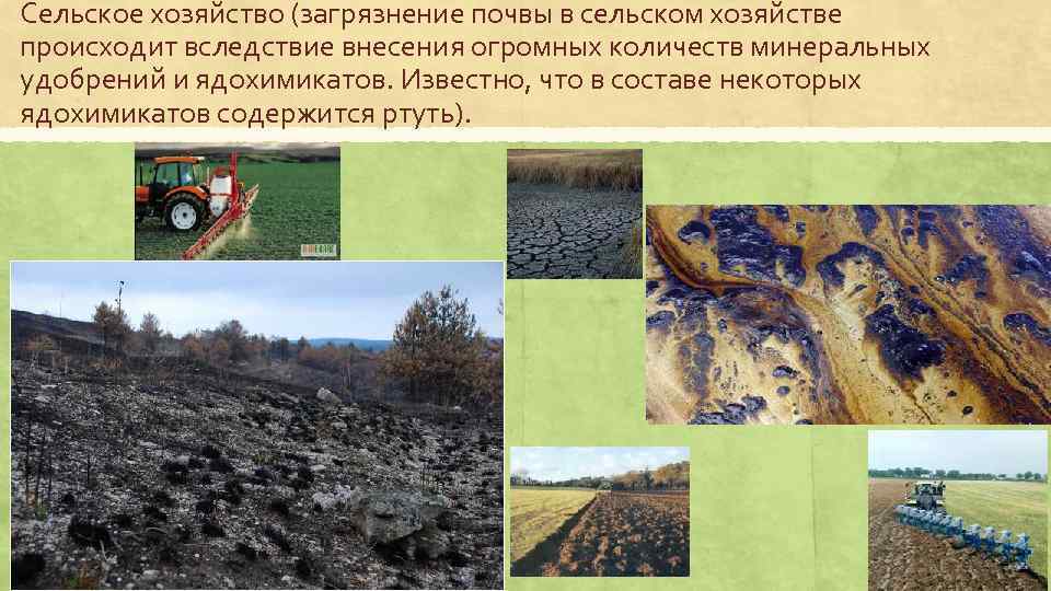 Сельское хозяйство (загрязнение почвы в сельском хозяйстве происходит вследствие внесения огромных количеств минеральных удобрений