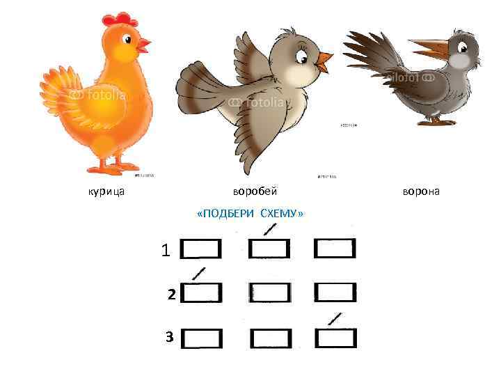 курица воробей «ПОДБЕРИ СХЕМУ» 1 2 3 ворона 