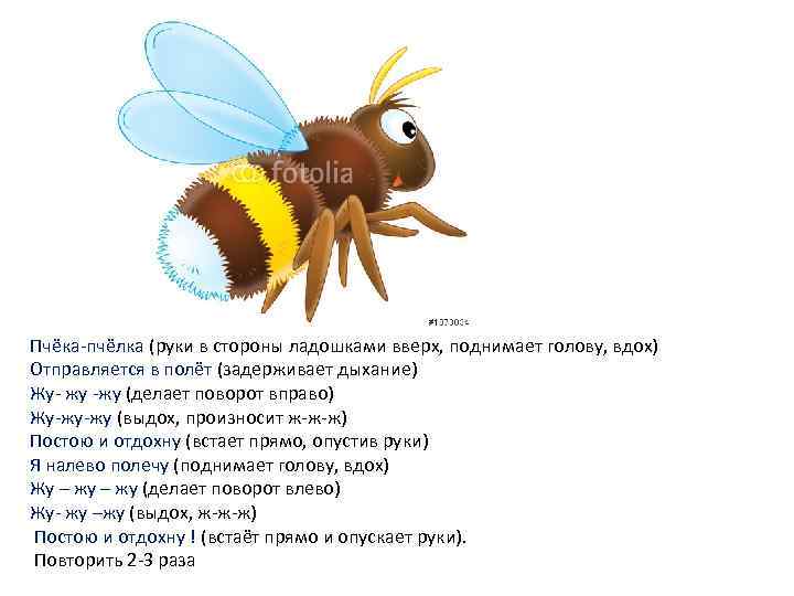 Песенки для малышей пчелка. Физминутка Пчелка. Физминутка про пчелу. Песенки про пчел для детей. Песня про пчелу.