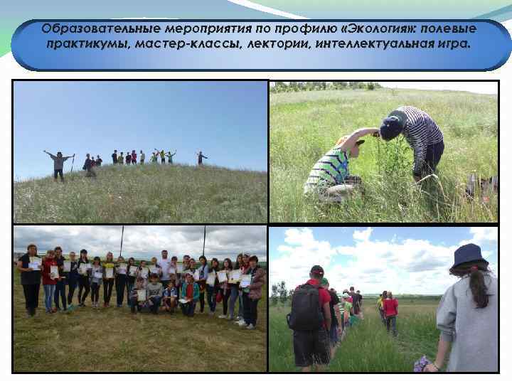 Образовательные мероприятия по профилю «Экология» : полевые практикумы, мастер-классы, лектории, интеллектуальная игра. 