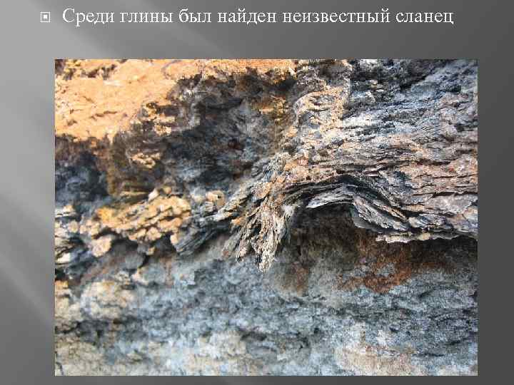 Среди глины был найден неизвестный сланец 