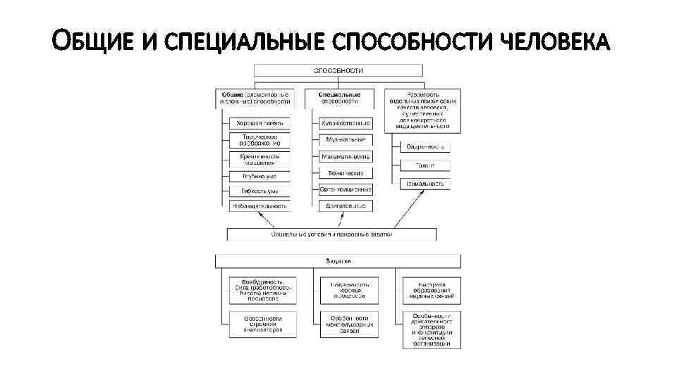 ОБЩИЕ И СПЕЦИАЛЬНЫЕ СПОСОБНОСТИ ЧЕЛОВЕКА 