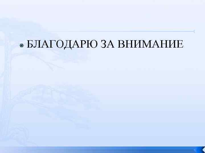  БЛАГОДАРЮ ЗА ВНИМАНИЕ 