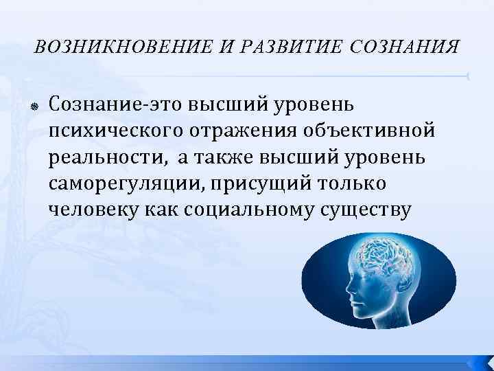 ВОЗНИКНОВЕНИЕ И РАЗВИТИЕ СОЗНАНИЯ Сознание-это высший уровень психического отражения объективной реальности, а также высший