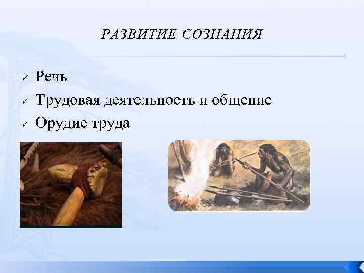 РАЗВИТИЕ СОЗНАНИЯ ü ü ü Речь Трудовая деятельность и общение Орудие труда 