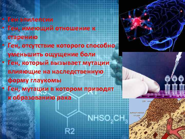  • Ген эпилепсии • Ген, имеющий отношение к старению • Ген, отсутствие которого