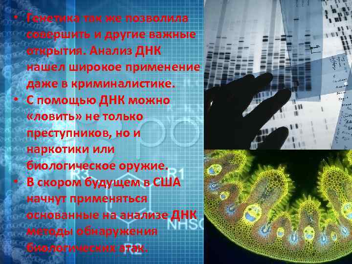  • Генетика так же позволила совершить и другие важные открытия. Анализ ДНК нашел