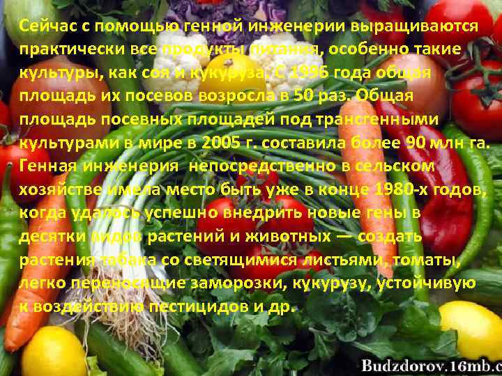 Сейчас с помощью генной инженерии выращиваются практически все продукты питания, особенно такие культуры, как