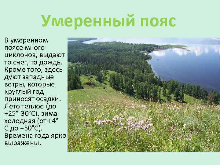 Умеренный климатический пояс. Умеренный пояс. Климат умеренного пояса. Подтипы умеренного пояса. Лето в умеренном поясе.