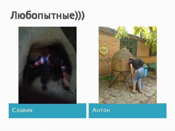 Любопытные))) Славик Антон 