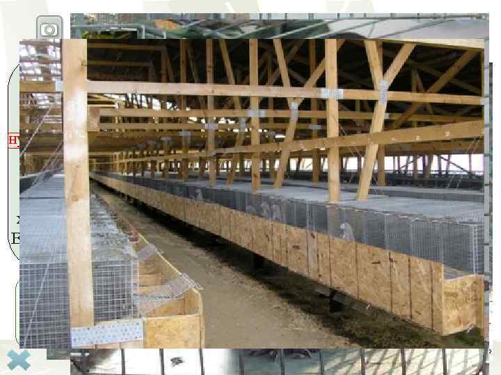 Пушное звероводство Объекты звероводства — норка, песец, горностай, серебристо-чёрная лисица, нутрия, соболь, речной бобер,