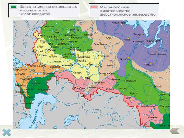 Карта мировое животноводство