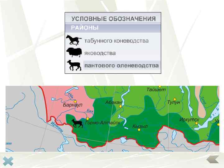 Указанным районам. Территория распространения оленеводства. Распространение оленеводства в России на карте. Территории оленеводства в России на карте. Оленеводство в России районы.