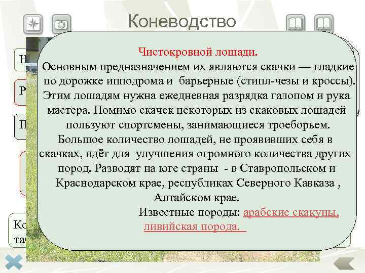 Коневодство Молочное коневодство предусматривает Чистокровной лошади. Применяют в качестве тяговой силы — отрасль животноводства,