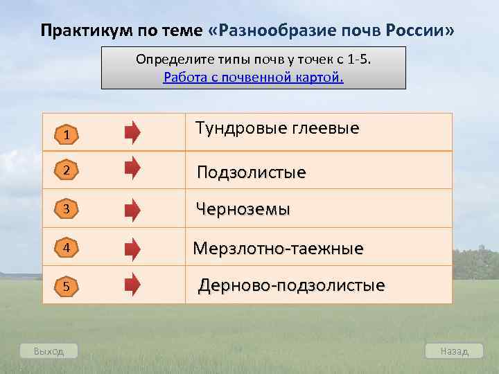 Выберите природные. Разнообразие почв задания. Разнообразие почв Росси. Определите типы почв у точек с 1-5. Тест основные типы почв России.