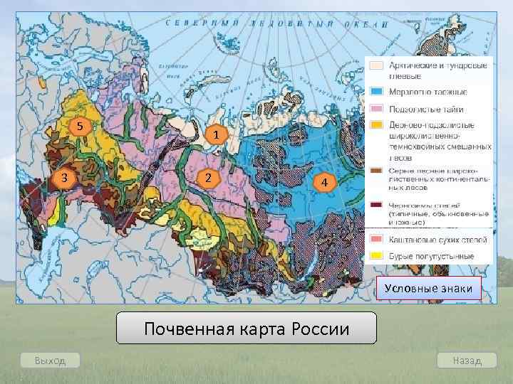 5 3 1 2 4 Условные знаки Почвенная карта России Выход Назад 