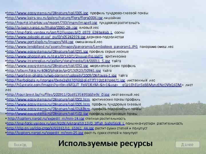  • http: //www. ecosystema. ru/08 nature/soil/005. jpg профиль тундрово-глеевой почвы • http: //www.