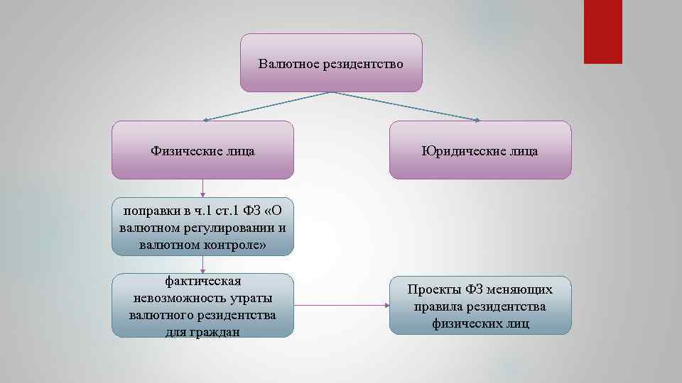 Валютное резидентство Физические лица Юридические лица поправки в ч. 1 ст. 1 ФЗ «О