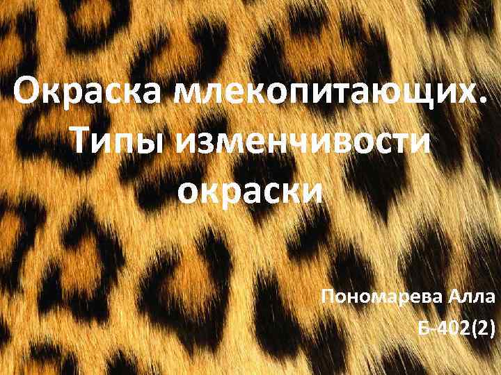 Окраска млекопитающих. Типы изменчивости окраски Пономарева Алла Б-402(2) 